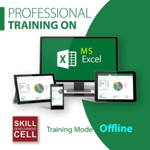 Professional Training on MS Excel