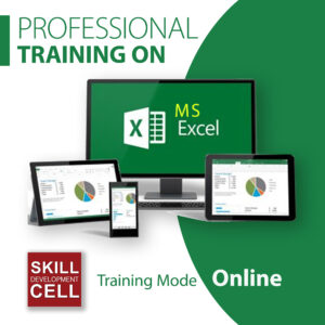 Professional Training on MS Excel